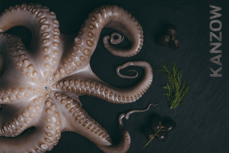 Mollusken Sortiment - Oktopus